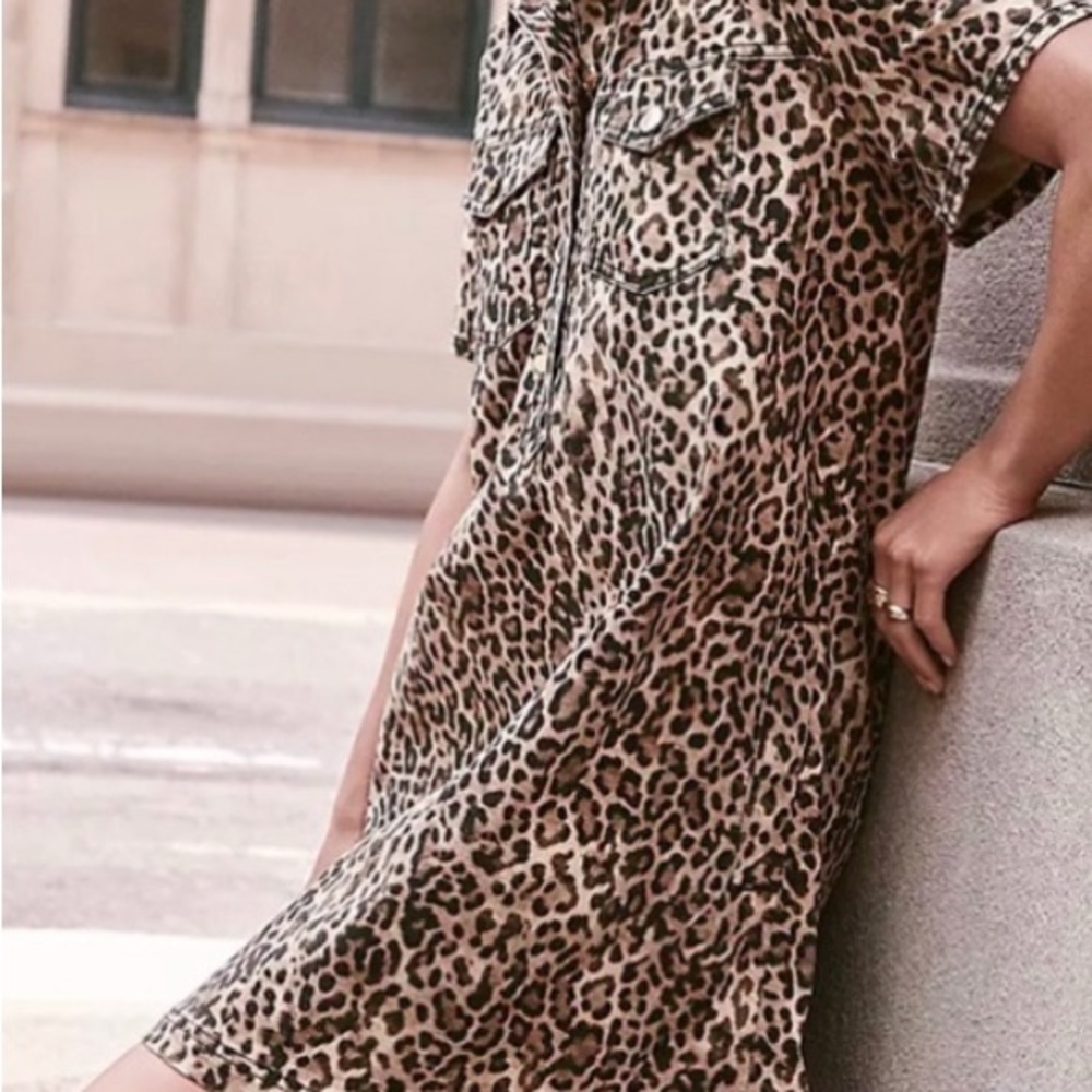 Lott Leopard Print Mini Dress